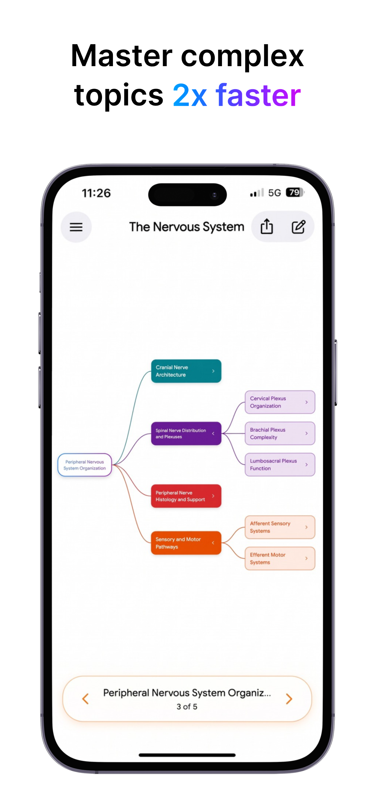 Stephen AI interactive mind map for studying complex topics