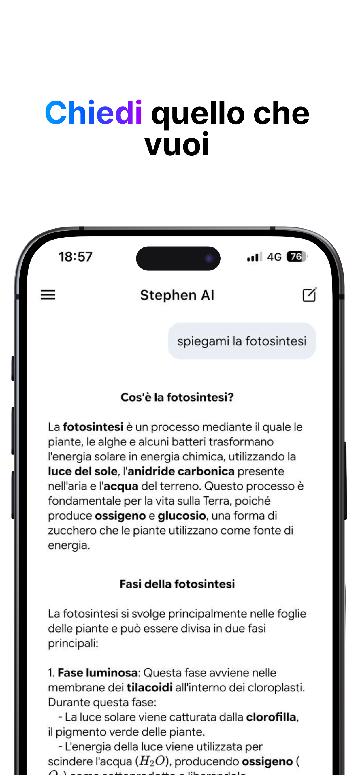 Chiedi quello che vuoi a Stephen AI